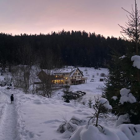 Le Perchoir, Gite 7 Personnes, Le Grand Valtin Ban-sur-Meurthe-Clefcy Extérieur photo