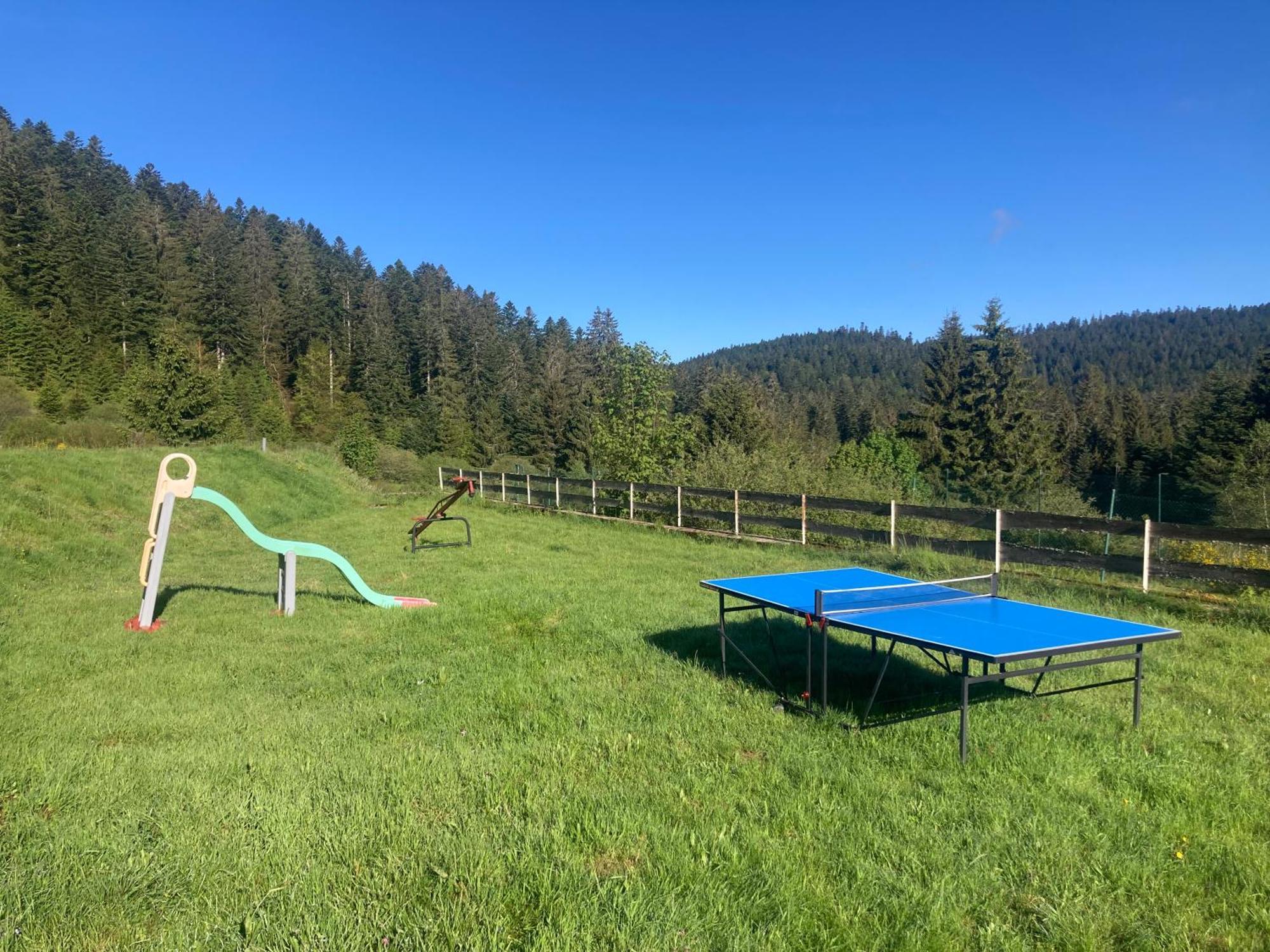 Le Perchoir, Gite 7 Personnes, Le Grand Valtin Ban-sur-Meurthe-Clefcy Extérieur photo